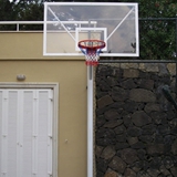Basket Potası 9