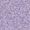 2075 Lavender